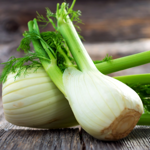 Fenchel